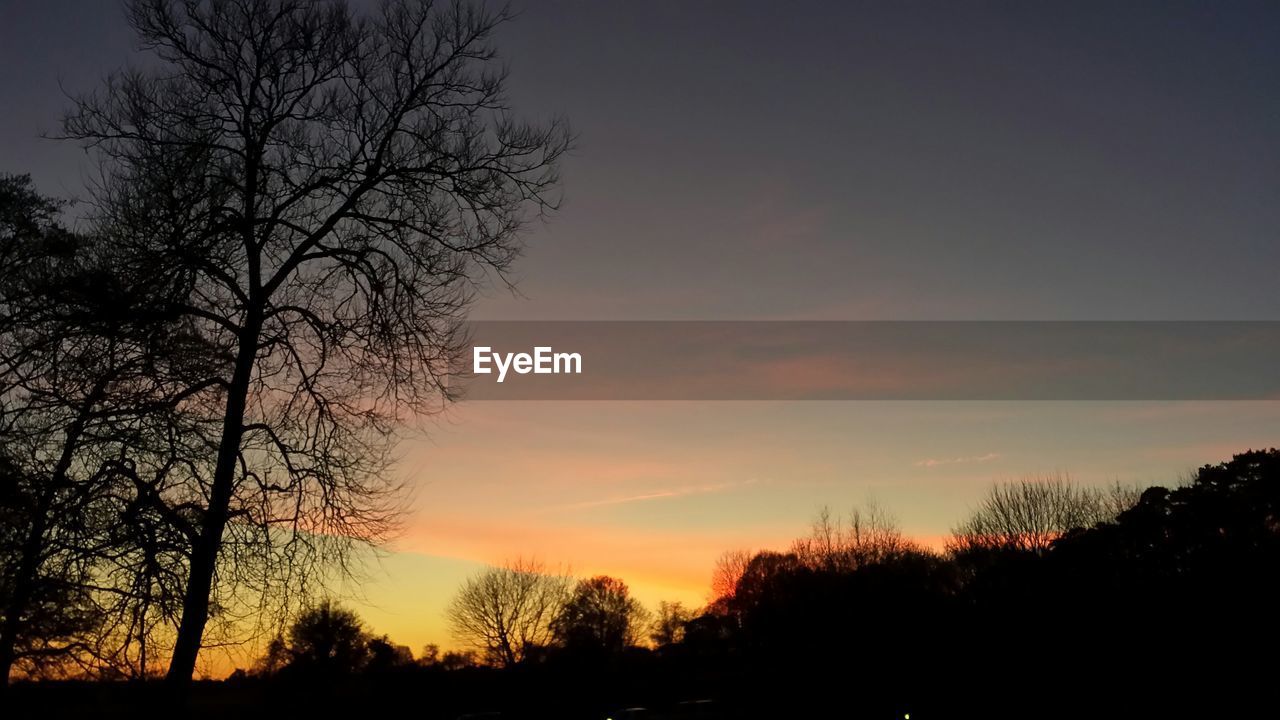 Silhouette trees and plants on field against cloudy sky at dusk