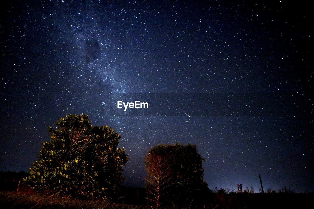 LOW ANGLE VIEW OF SILHOUETTE TREES AGAINST STAR FIELD