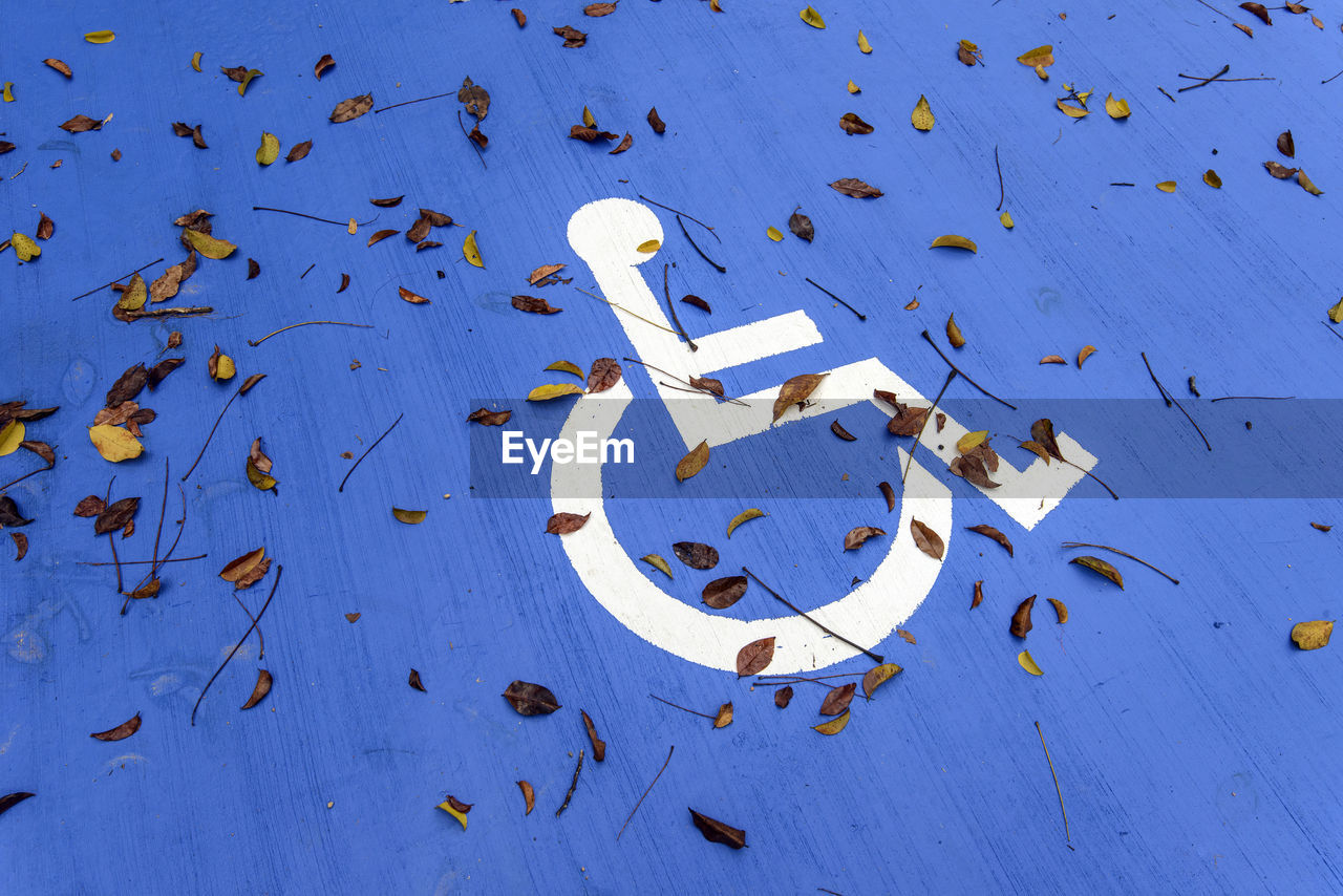 High angle view of fallen leaves on disabled sign