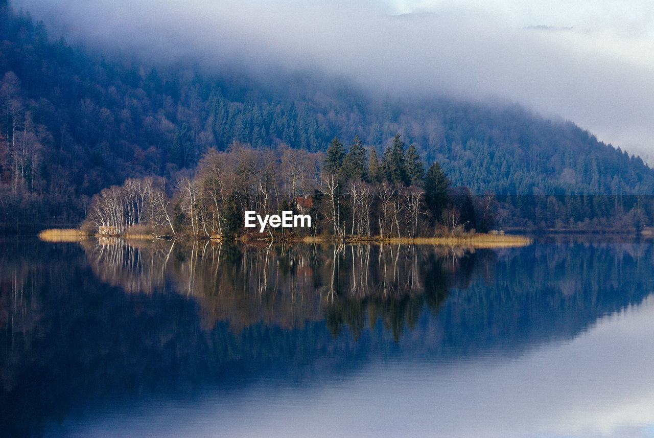 Scenic view of lake in forest against sky