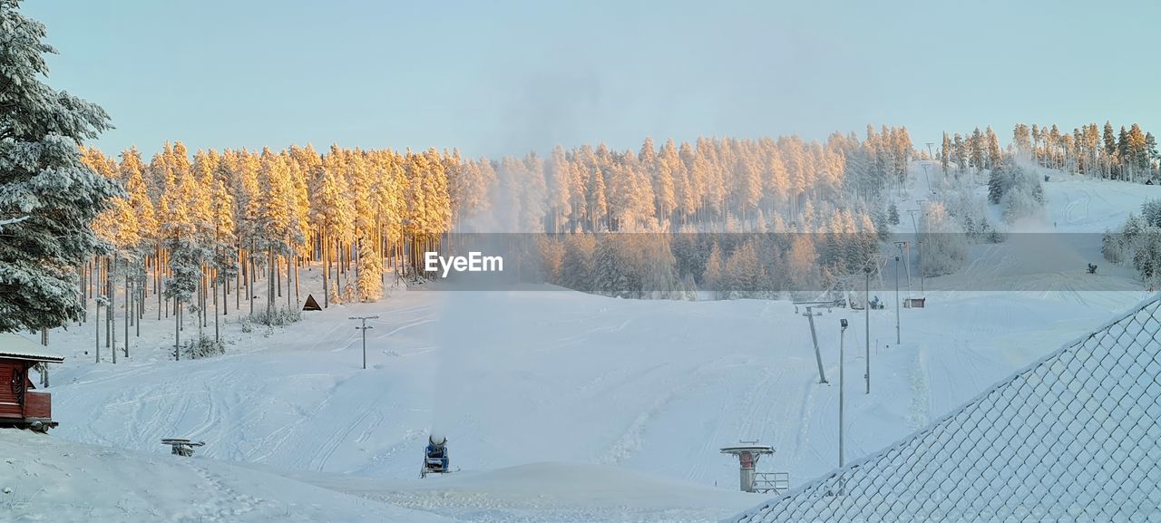 Snow covered land and trees against sky