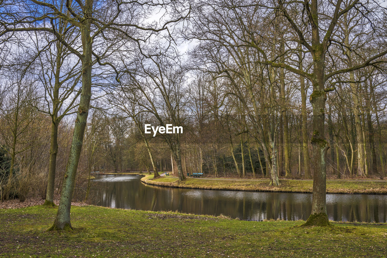 SCENIC VIEW OF LAKE AGAINST TREES