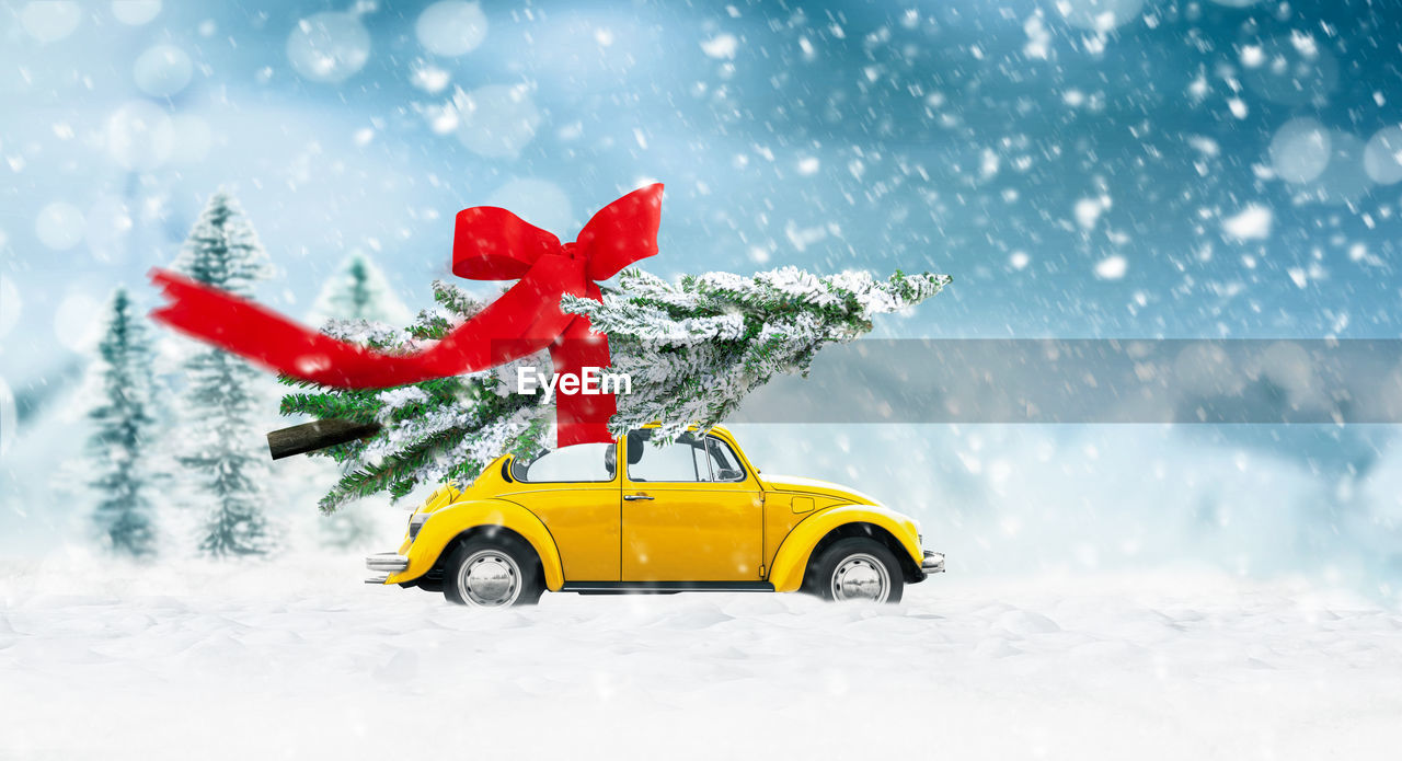 YELLOW TOY CAR ON SNOW COVERED TREE