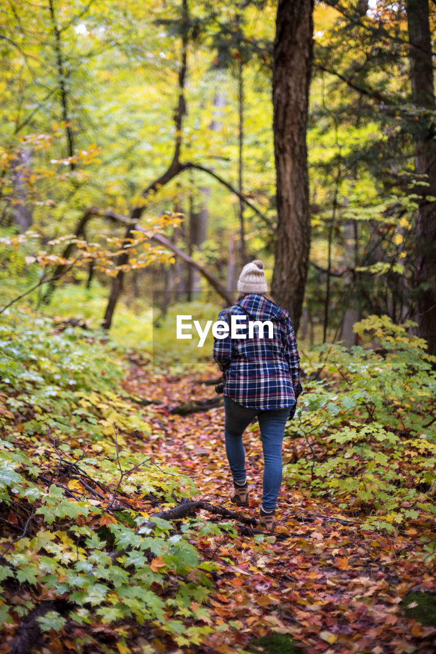 REAR VIEW OF WOMAN WALKING IN FOREST