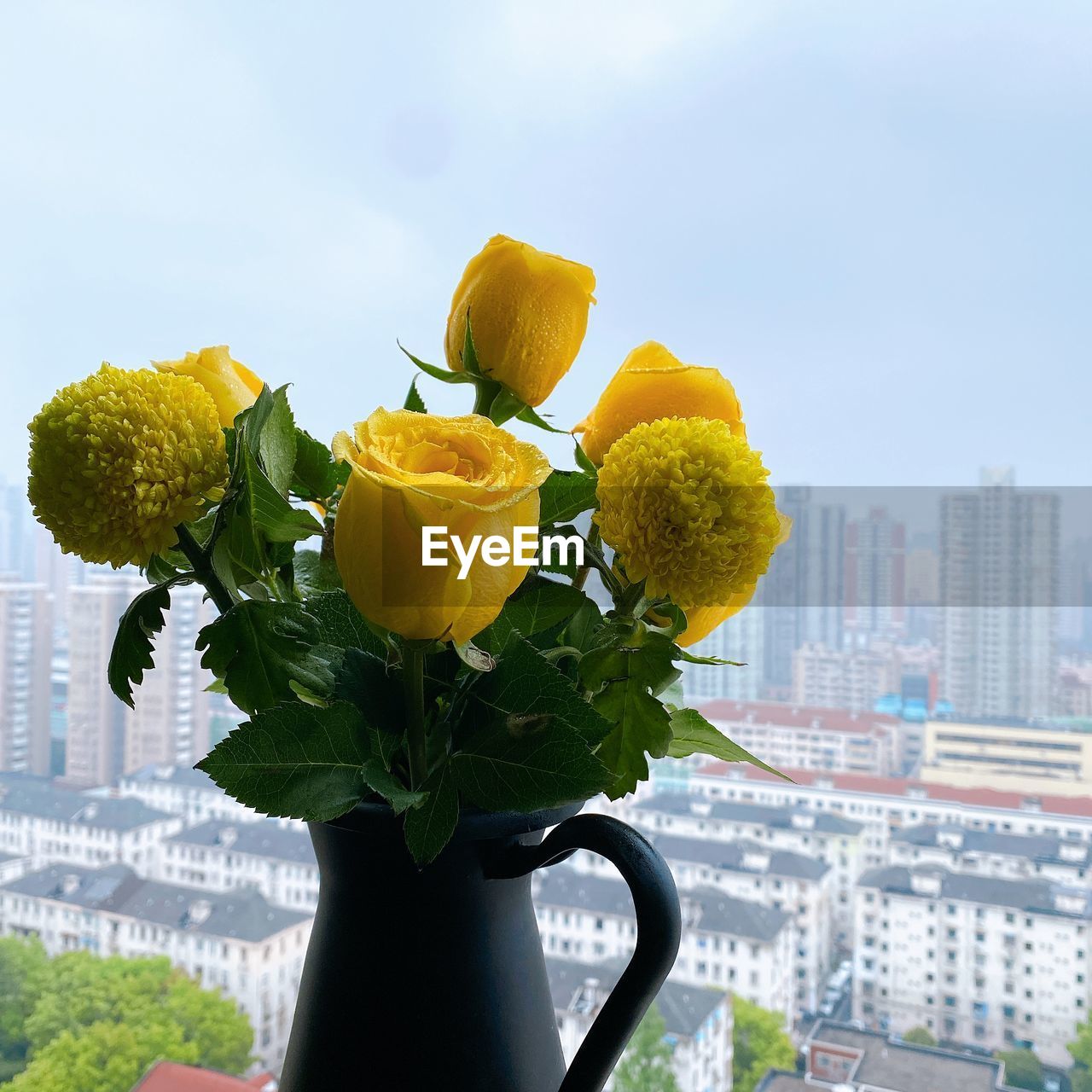 CLOSE-UP OF FLOWERING PLANT AGAINST YELLOW SKY