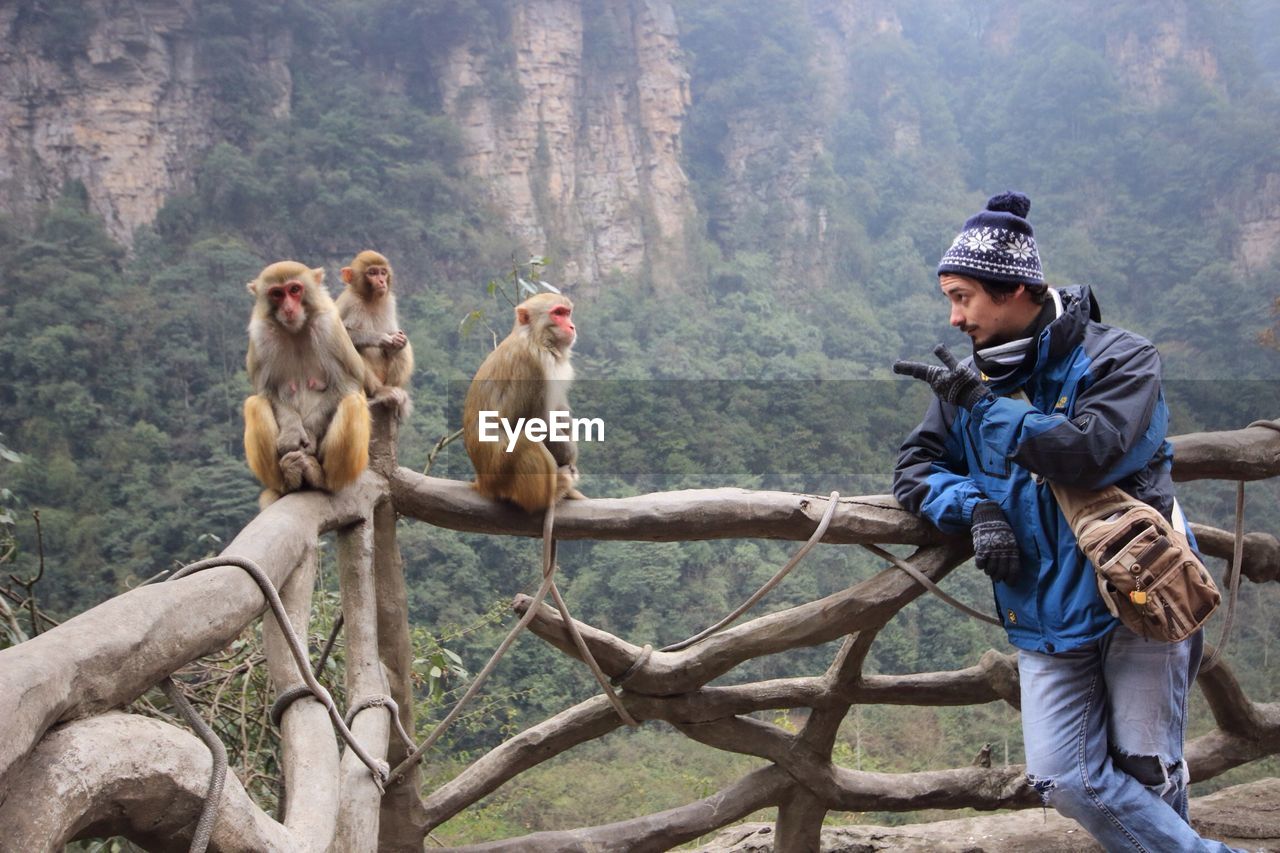 Man standing by monkeys on fence against mountain