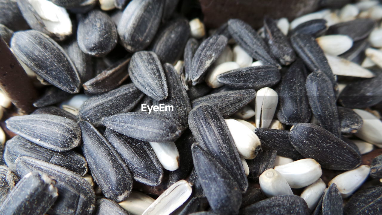 Full frame shot of sunflower seeds