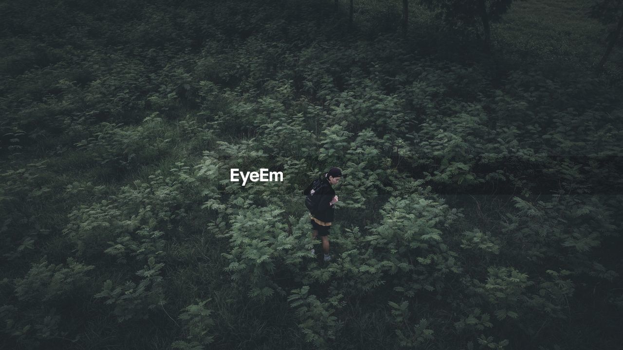 High angle view of man in forest