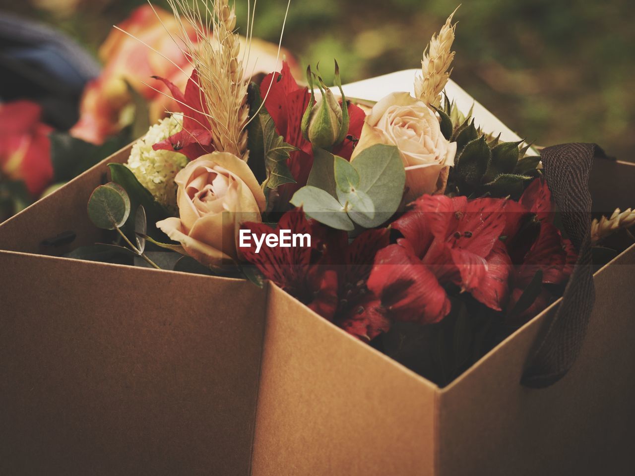 Close-up of rose bouquet