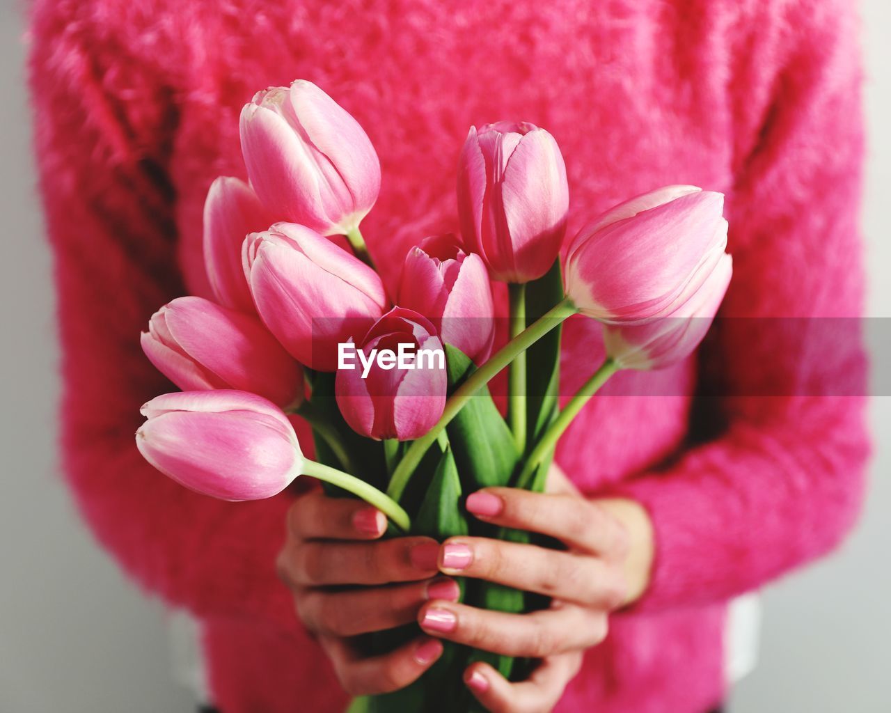 CLOSE-UP OF PINK TULIP HOLDING BOUQUET OF RED FLOWER