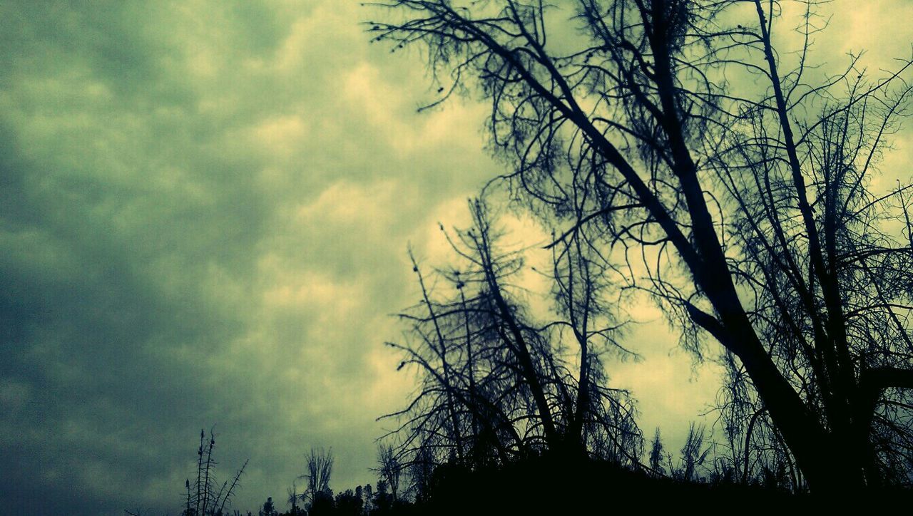 SILHOUETTE OF BARE TREES AGAINST CLOUDY SKY