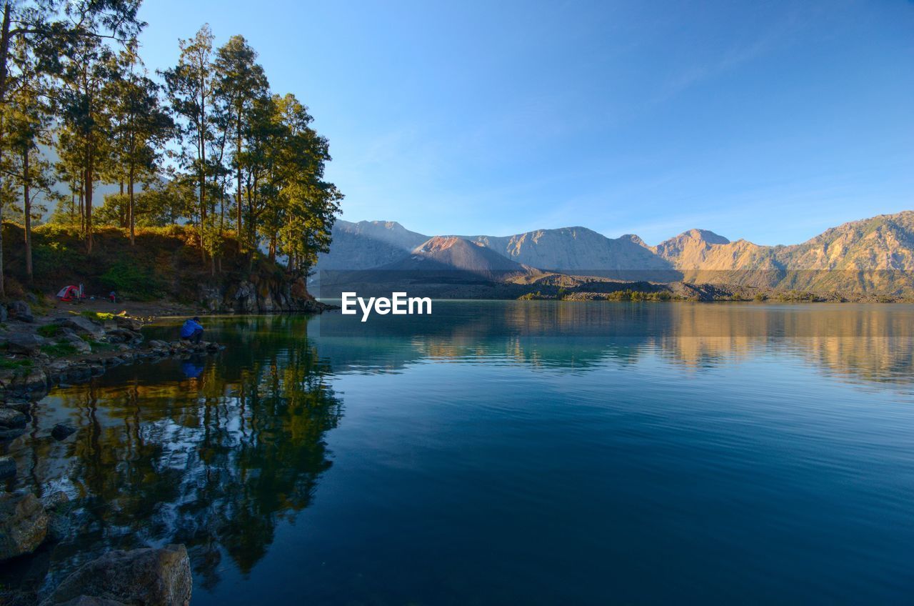 Scenic view of lake by trees against blue sky