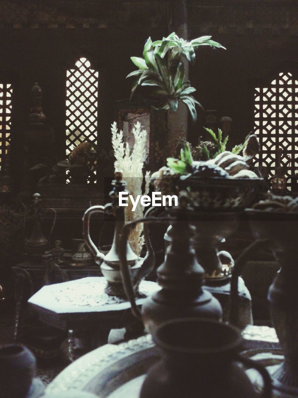 Close-up of potted plant on table