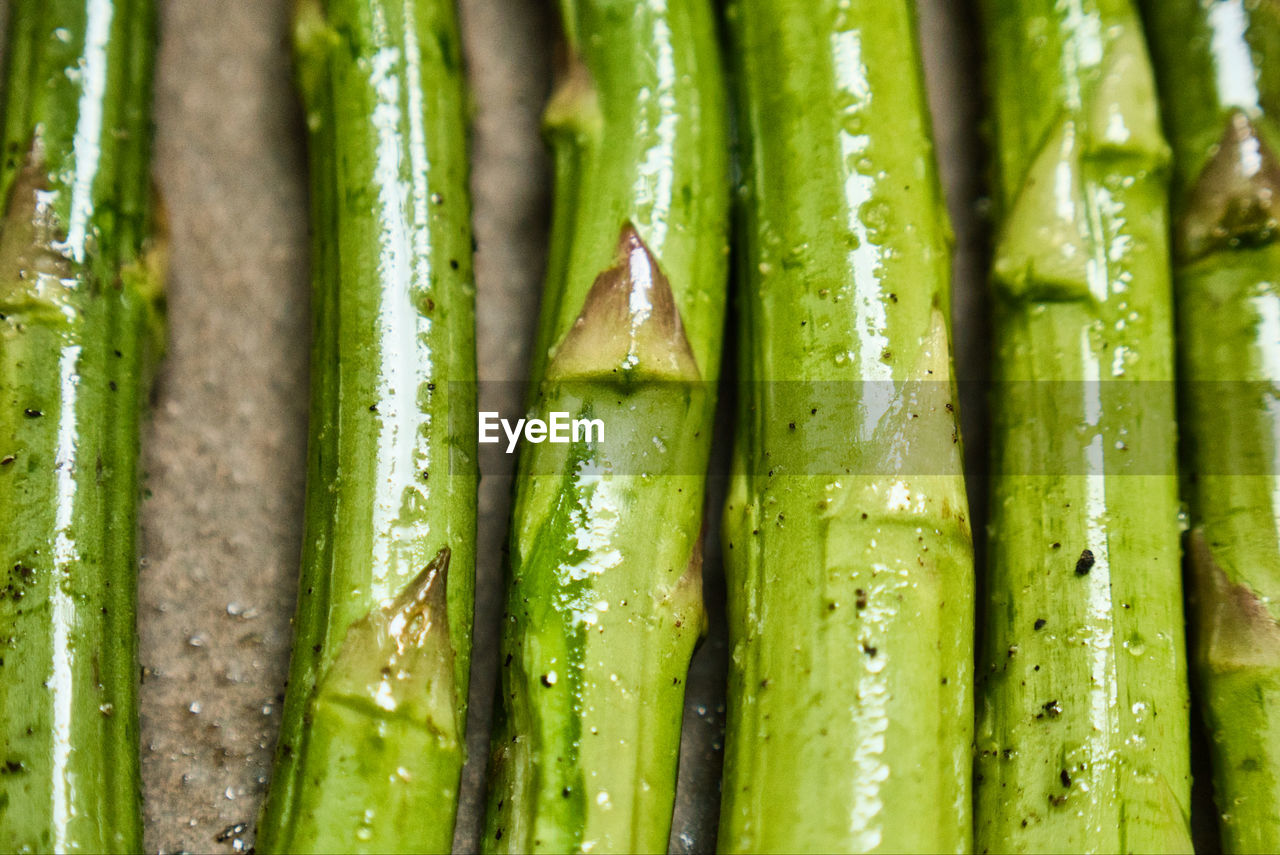 Green ripe asparagus stems extreme close up.