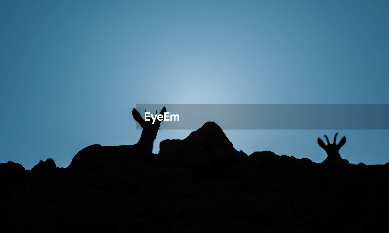 Low angle view of silhouette man standing on rock against clear blue sky