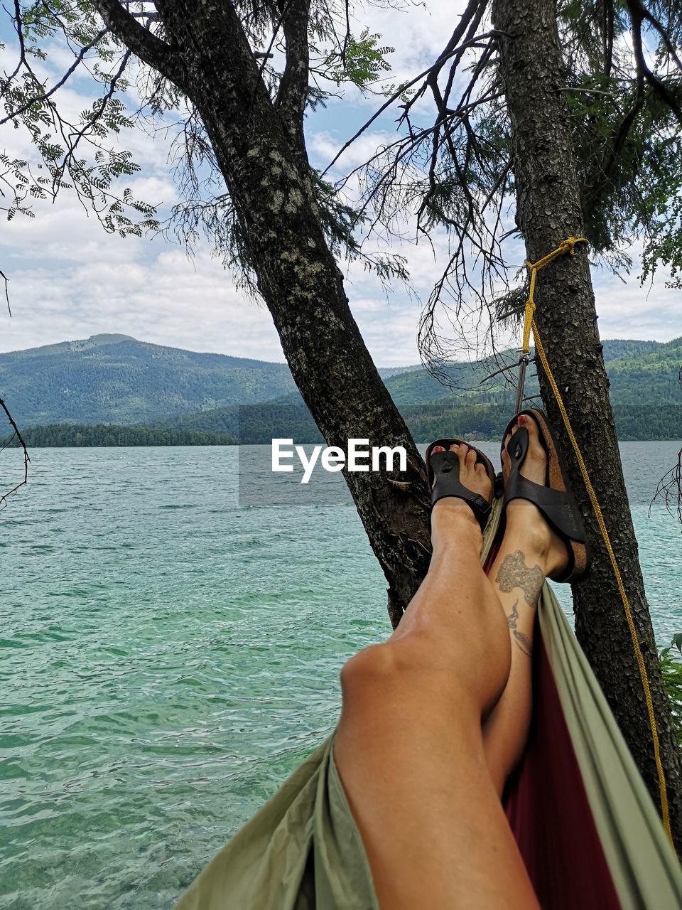 Low section of person on tree trunk by sea against sky