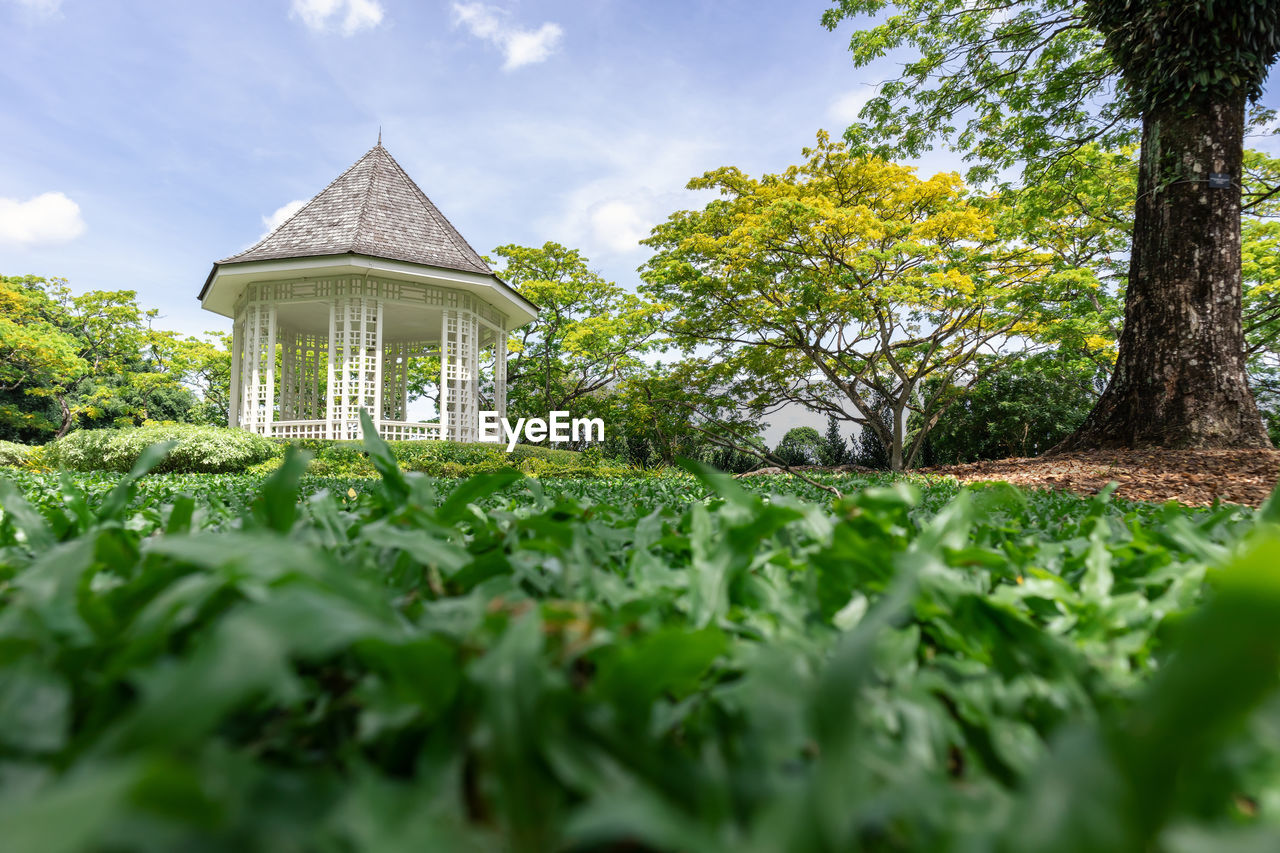 The bandstand in botanic gardens, singapore, surrounded by terraced flower beds and palms