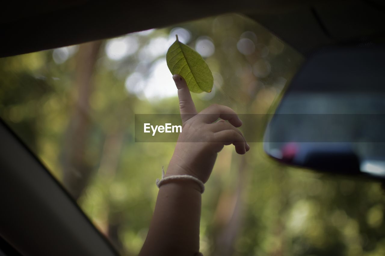 Close-up of human hand touching leaf