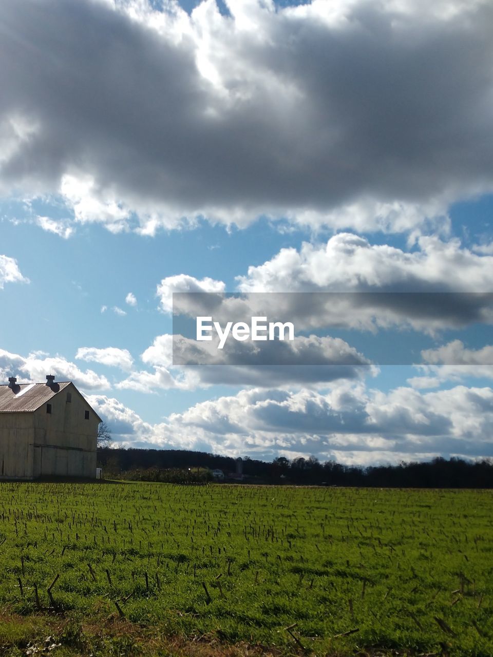 SCENIC VIEW OF FARM FIELD AGAINST SKY