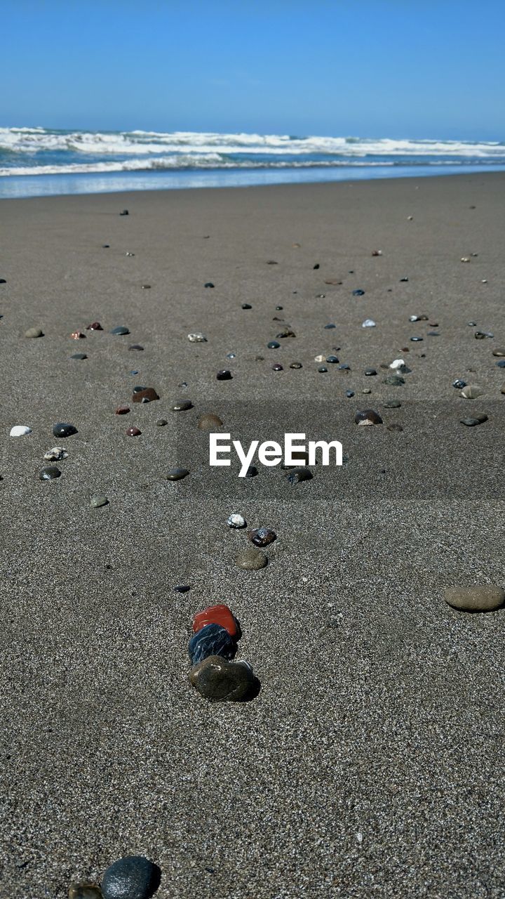 HIGH ANGLE VIEW OF SHELL ON SAND AT BEACH