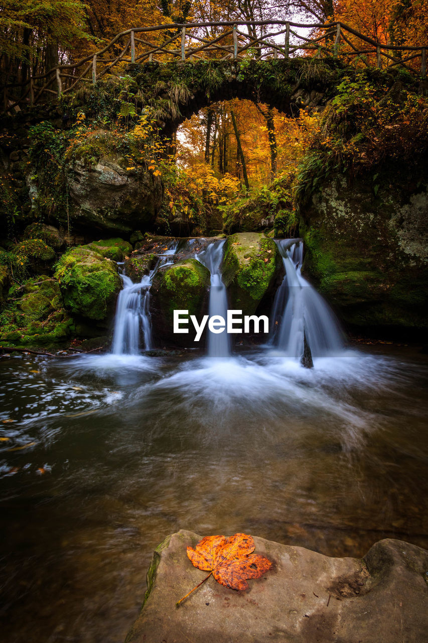 Scenic view of waterfall in forest during autumn
