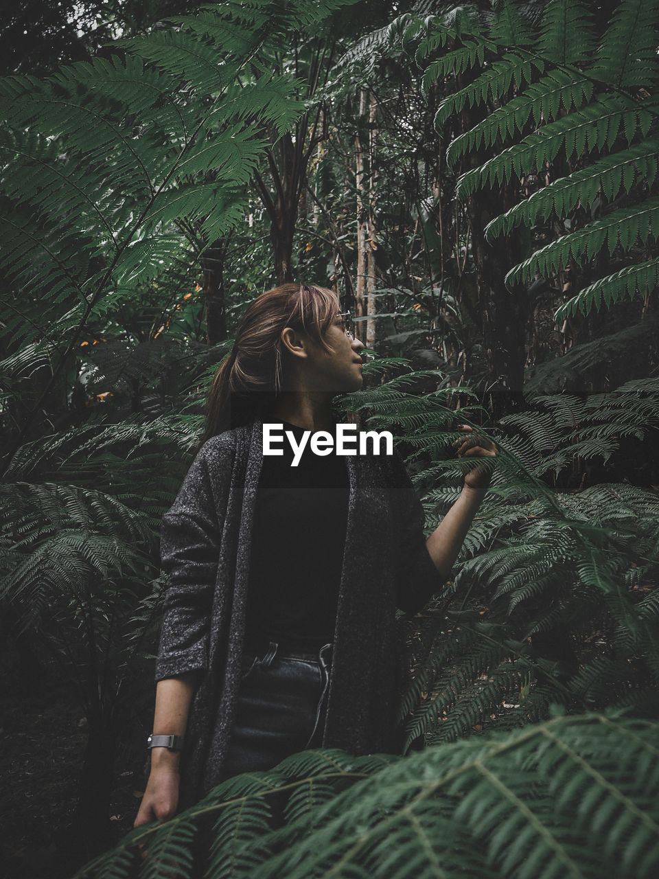 Woman standing by trees in forest