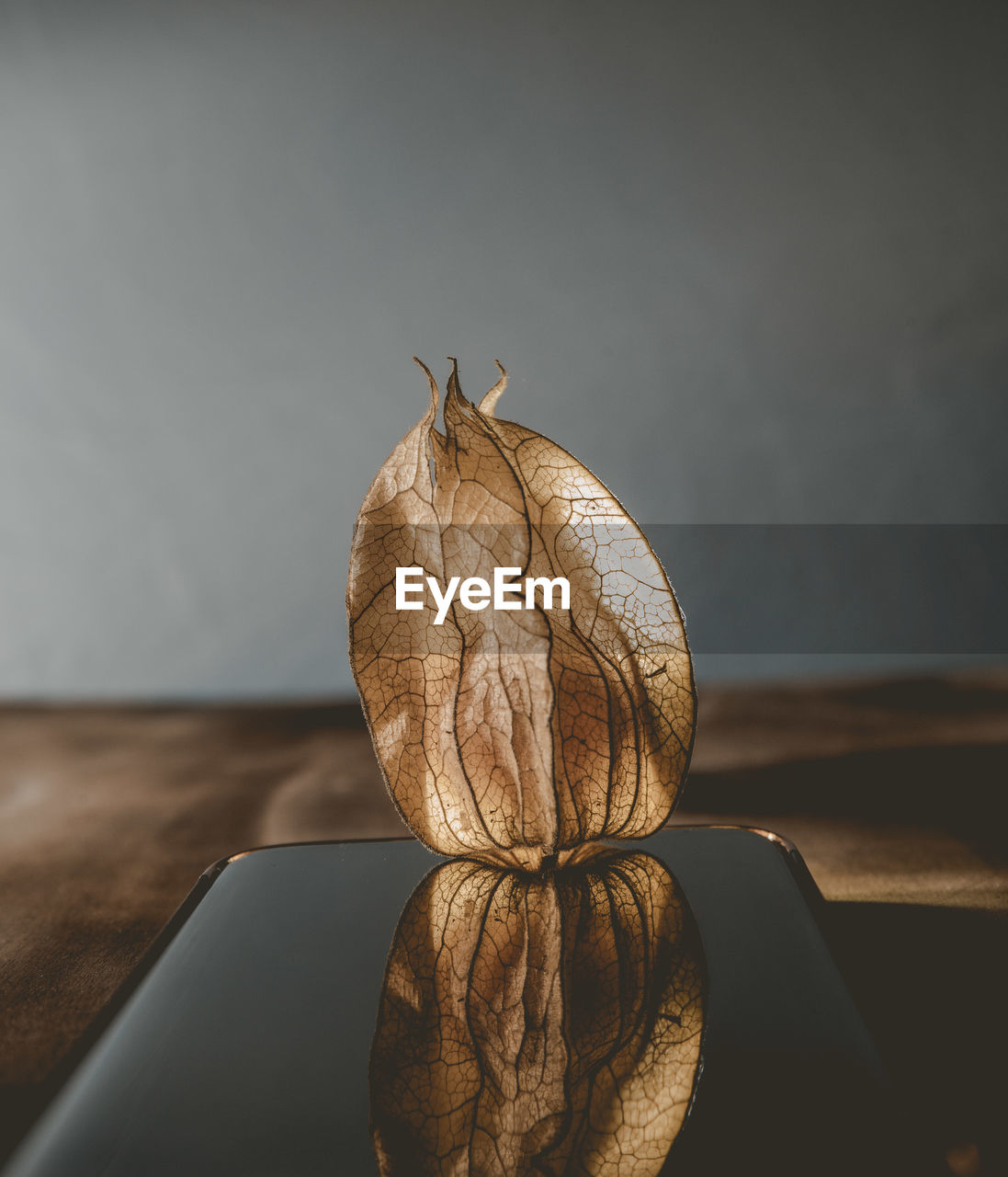 CLOSE-UP OF LEMON ON TABLE