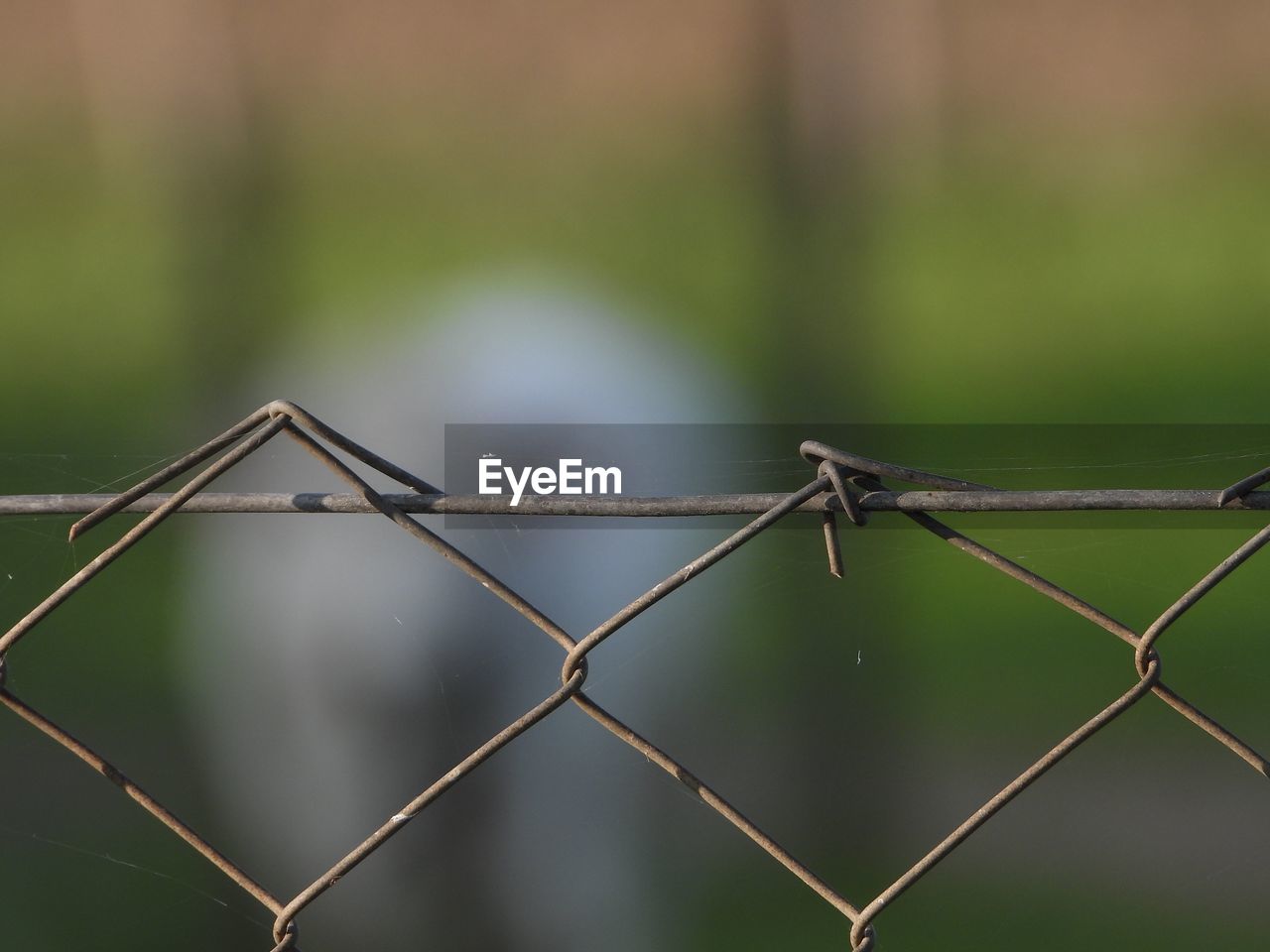 Close-up of chainlink fence