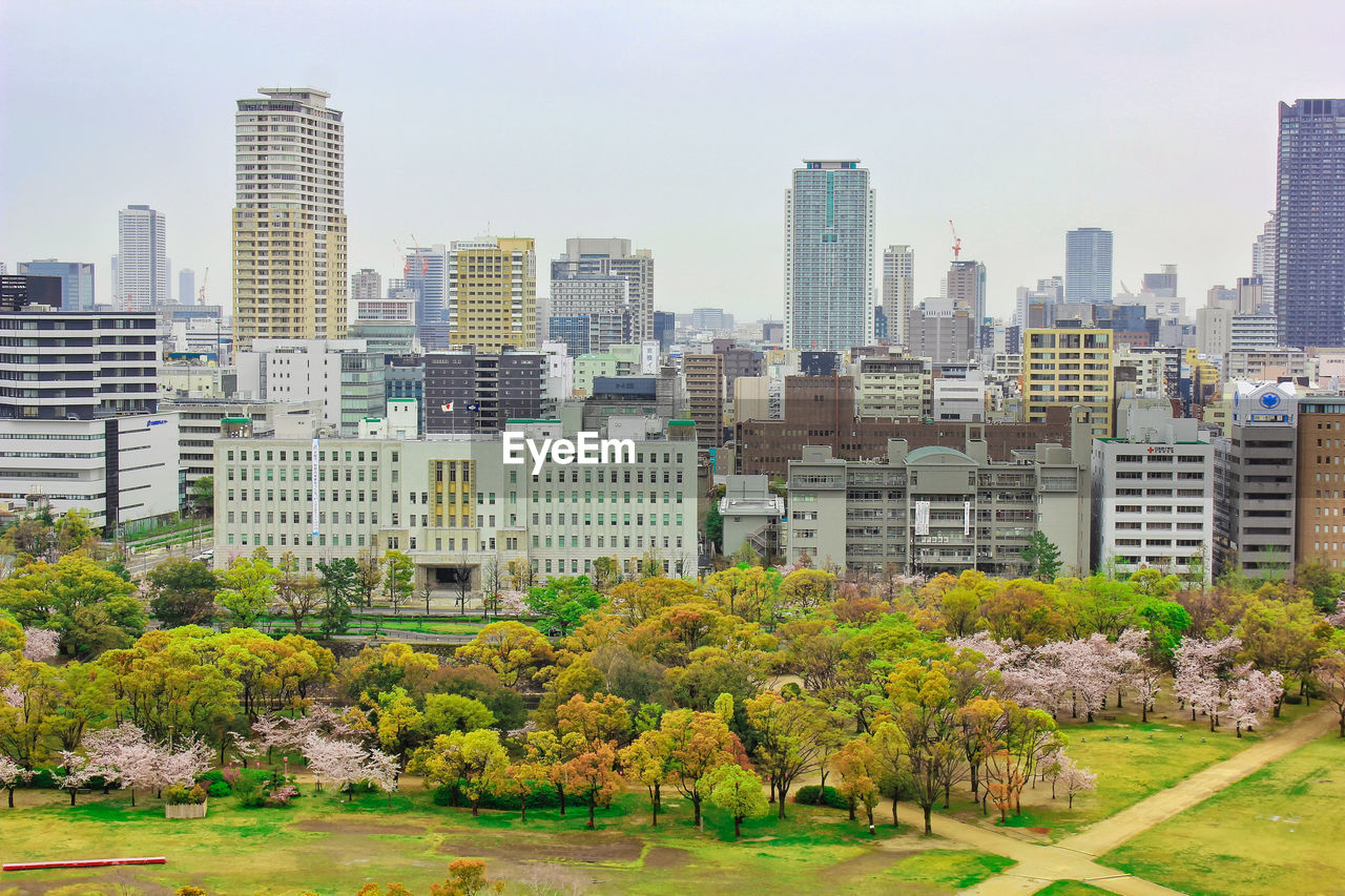 Trees and buildings in city against sky