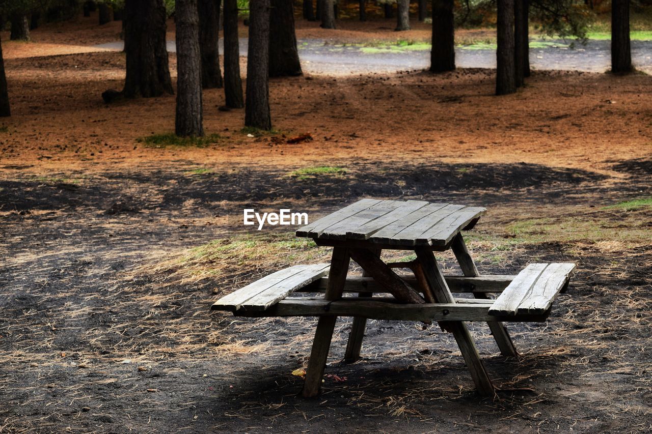 CHAIRS ON TABLE