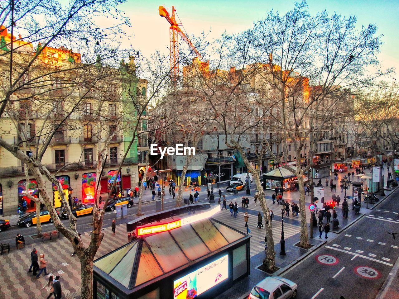 CROWD ON TREE IN CITY