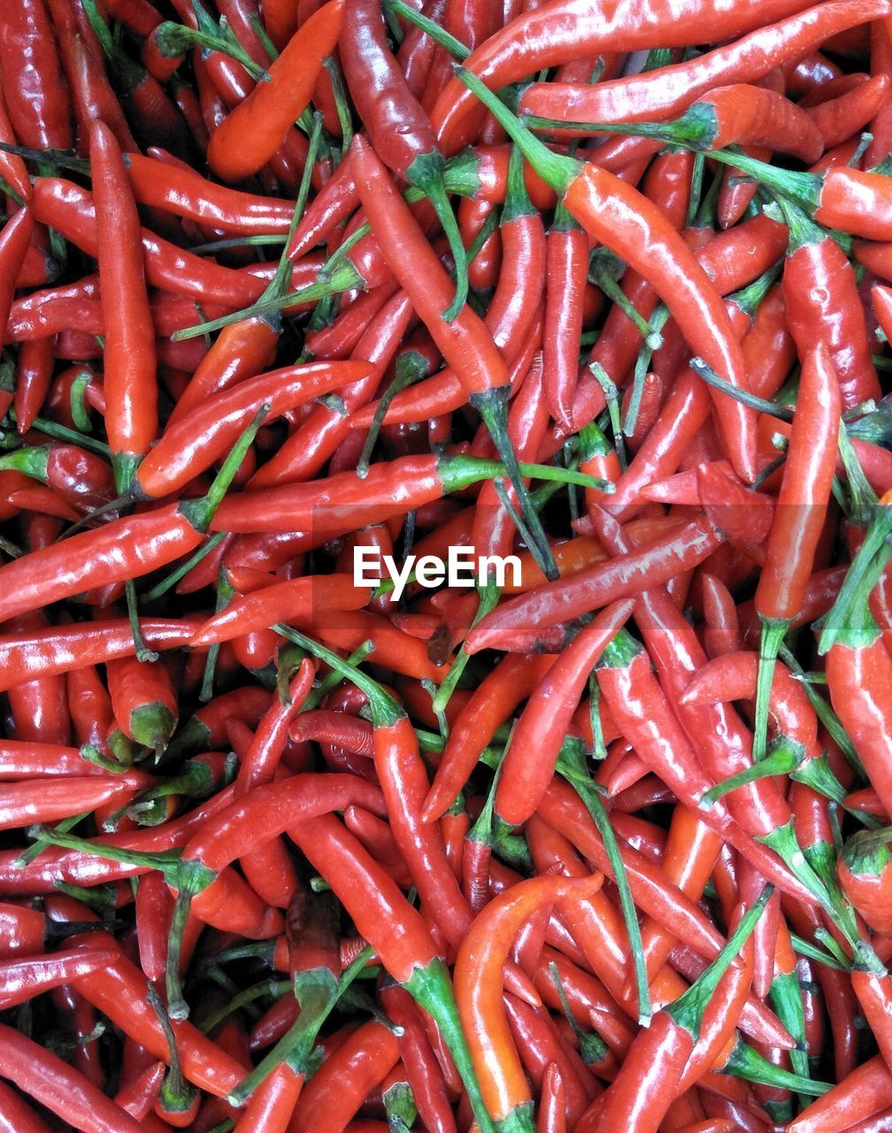 Full frame shot of red chili peppers