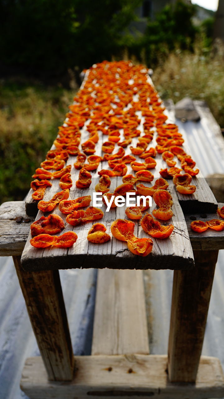 HIGH ANGLE VIEW OF CARROTS ON BARBECUE