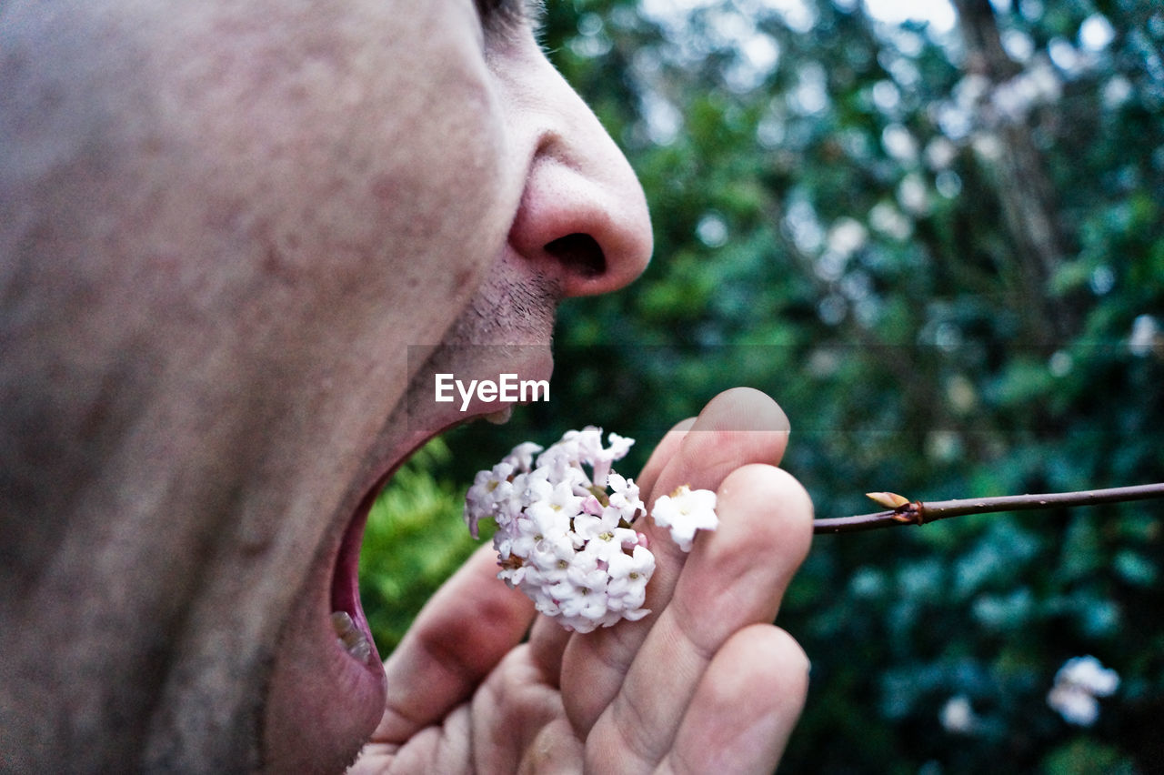 Close-up of man eating flower