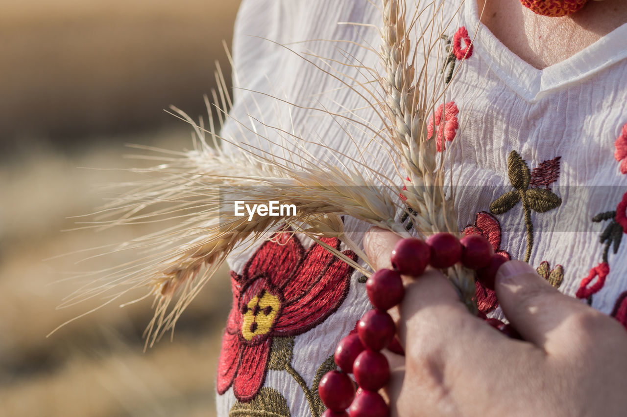 Golden ears in hand against the background of ukrainian national clothes