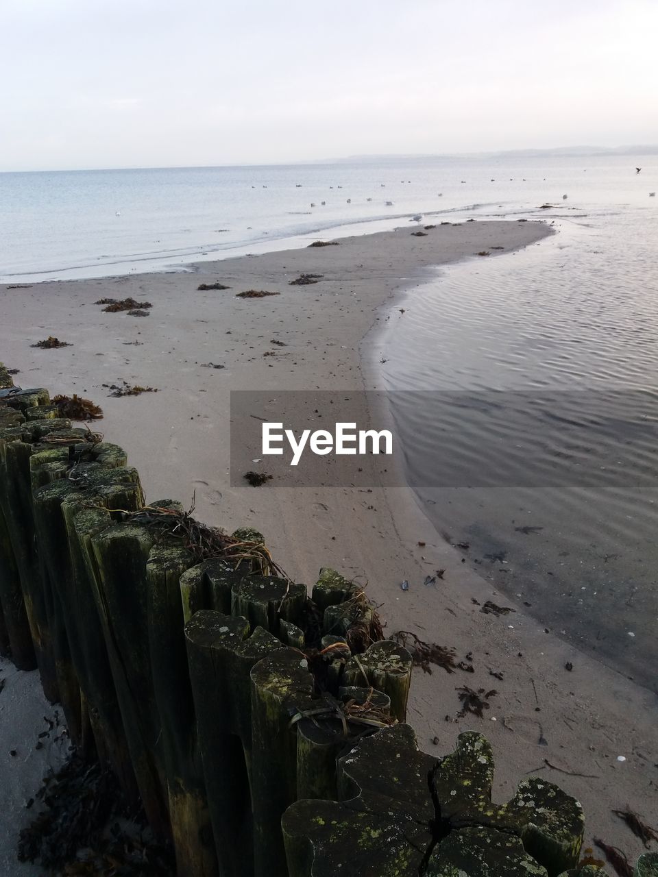 SCENIC VIEW OF BEACH