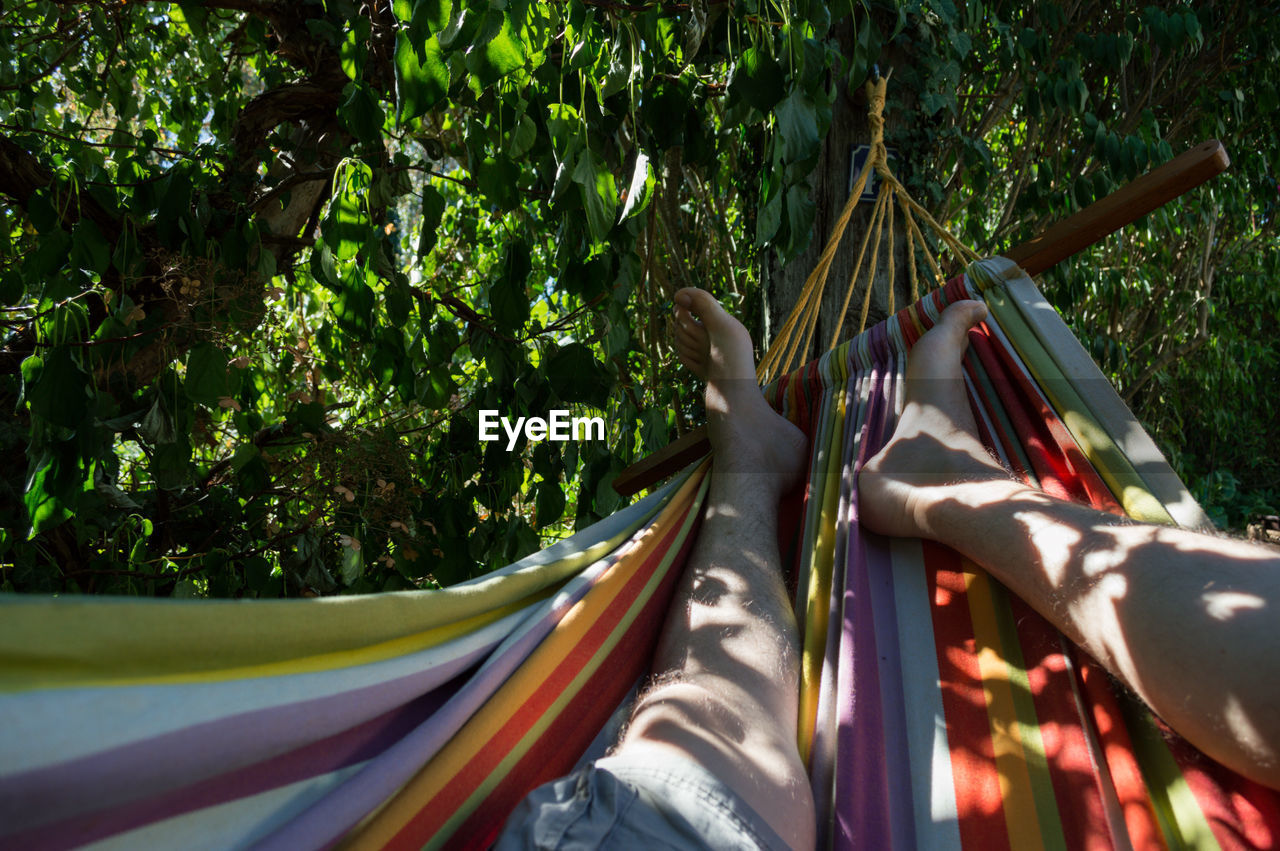 Low section of woman relaxing on hammock in forest