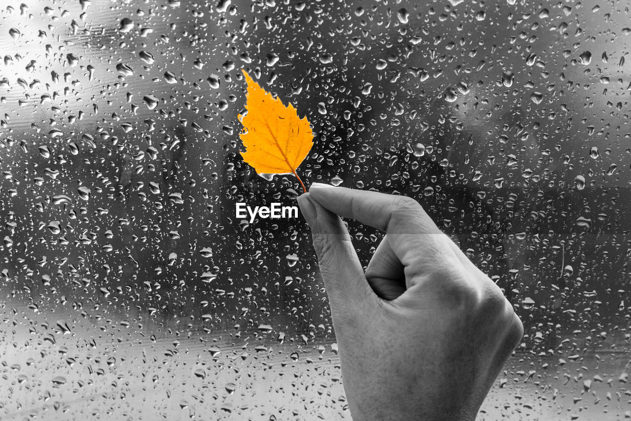 Yellow leaf in hand on a wet window. rainy autumn day. the window is all in drops.