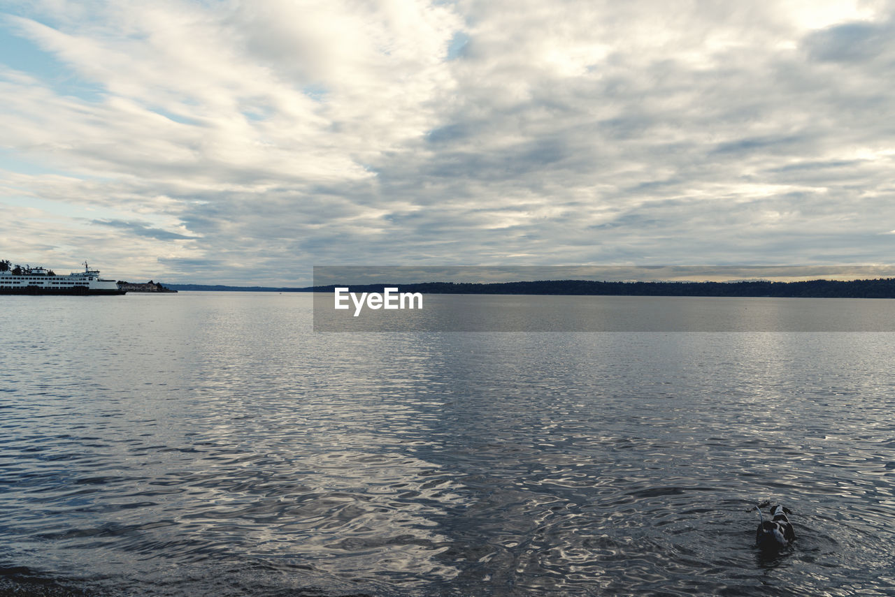 VIEW OF SEA AGAINST SKY