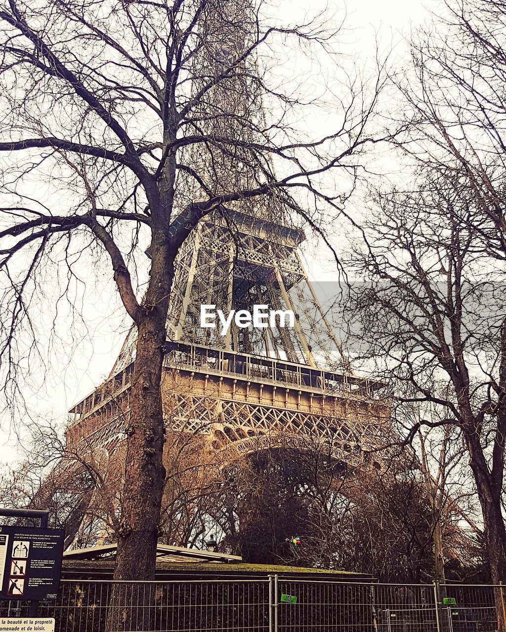 LOW ANGLE VIEW OF BARE TREE AGAINST BUILDING