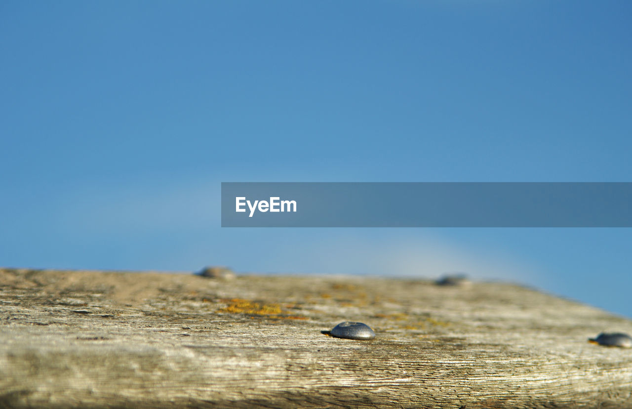 Close-up of insect on wood against clear blue sky