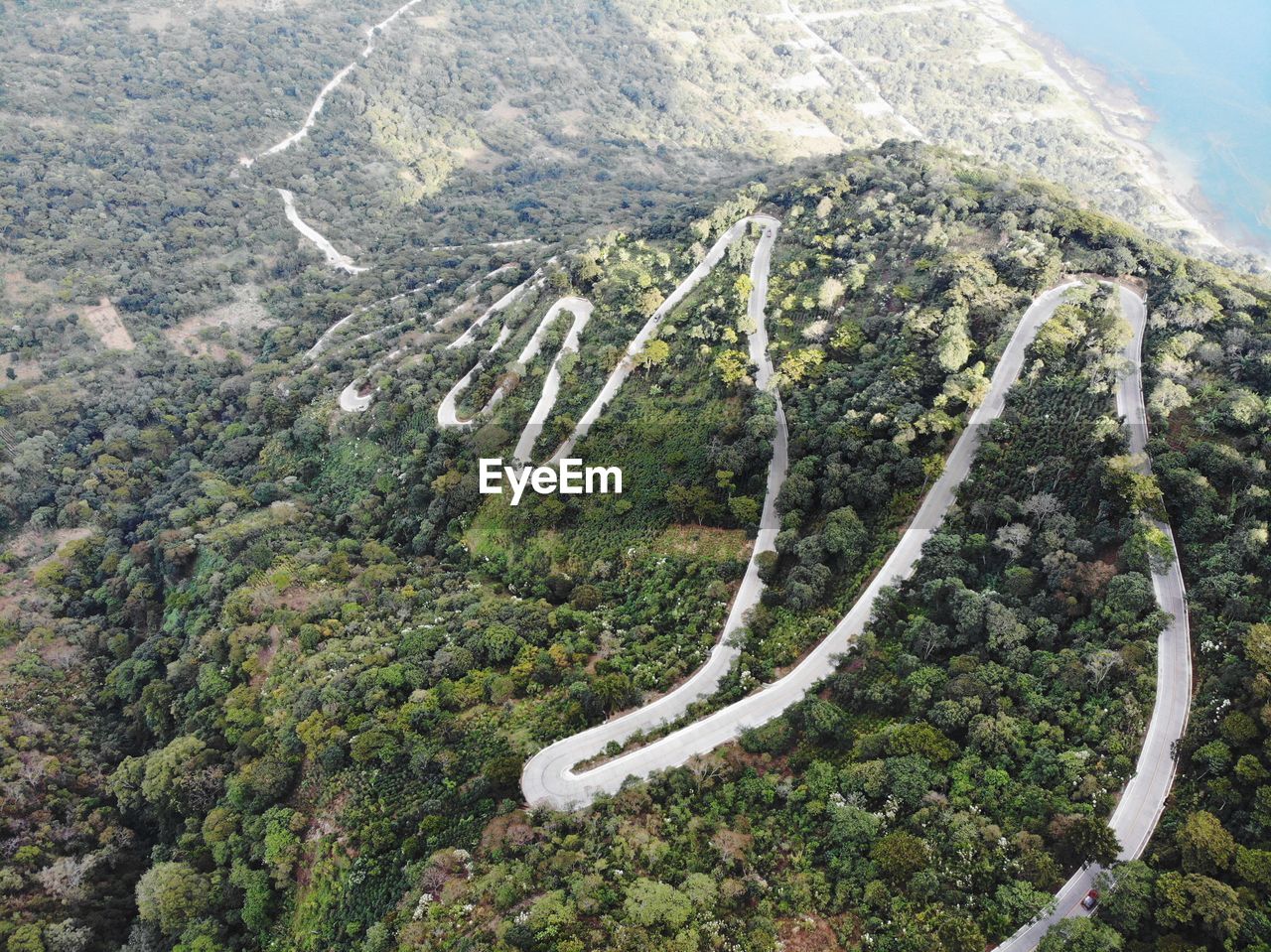 High angle view of winding road amidst trees in forest