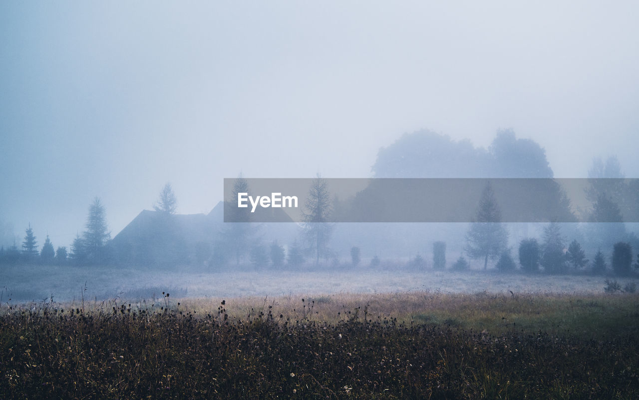 mist, fog, morning, environment, plant, dawn, landscape, tree, nature, land, haze, sky, beauty in nature, scenics - nature, tranquility, no people, tranquil scene, winter, cold temperature, sunrise, forest, horizon, twilight, grass, field, outdoors, rural scene, non-urban scene, cloud, sunlight, hill, panoramic, social issues