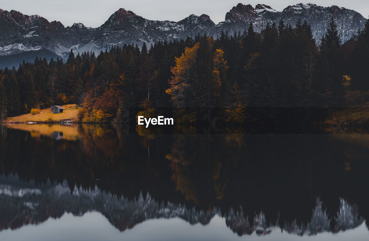 scenic view of trees in lake