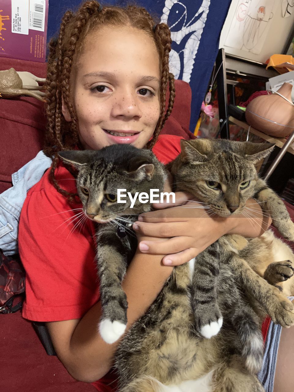 cat, animal, portrait, mammal, animal themes, pet, domestic animals, looking at camera, one animal, indoors, domestic cat, carnivore, lying down, feline, men, childhood, one person, adult, child, person, small to medium-sized cats