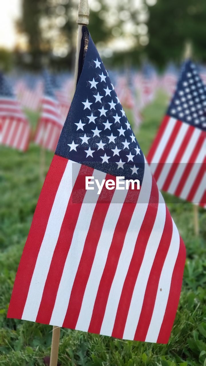 Close-up of flag against plants