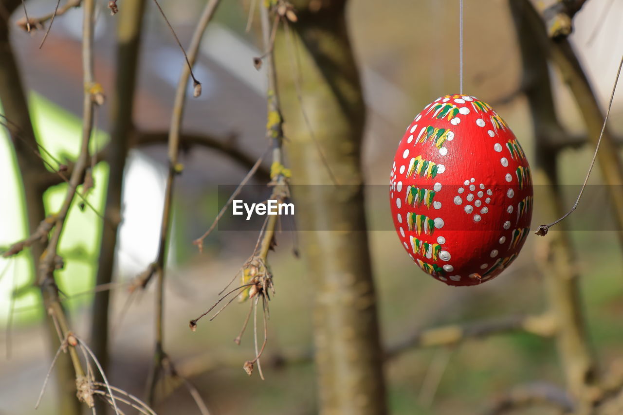 Colored and painted easter egg hanging on a twig