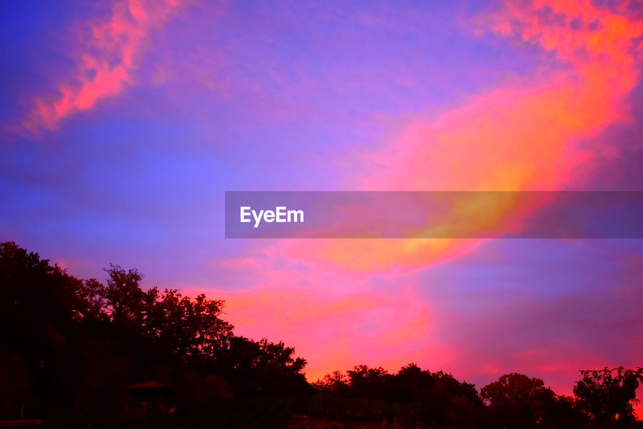 LOW ANGLE VIEW OF SILHOUETTE TREES AGAINST ROMANTIC SKY