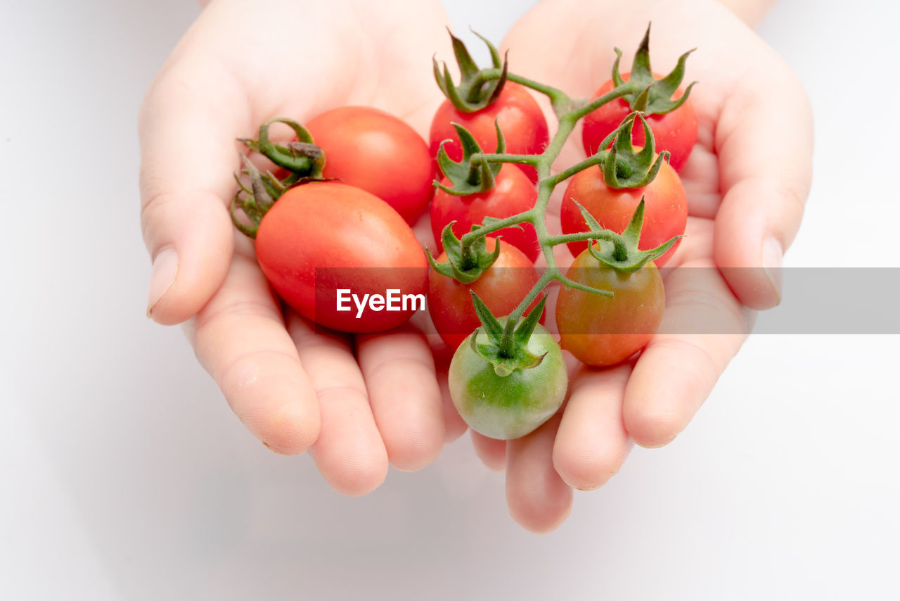 CROPPED IMAGE OF PERSON HOLDING FRUITS