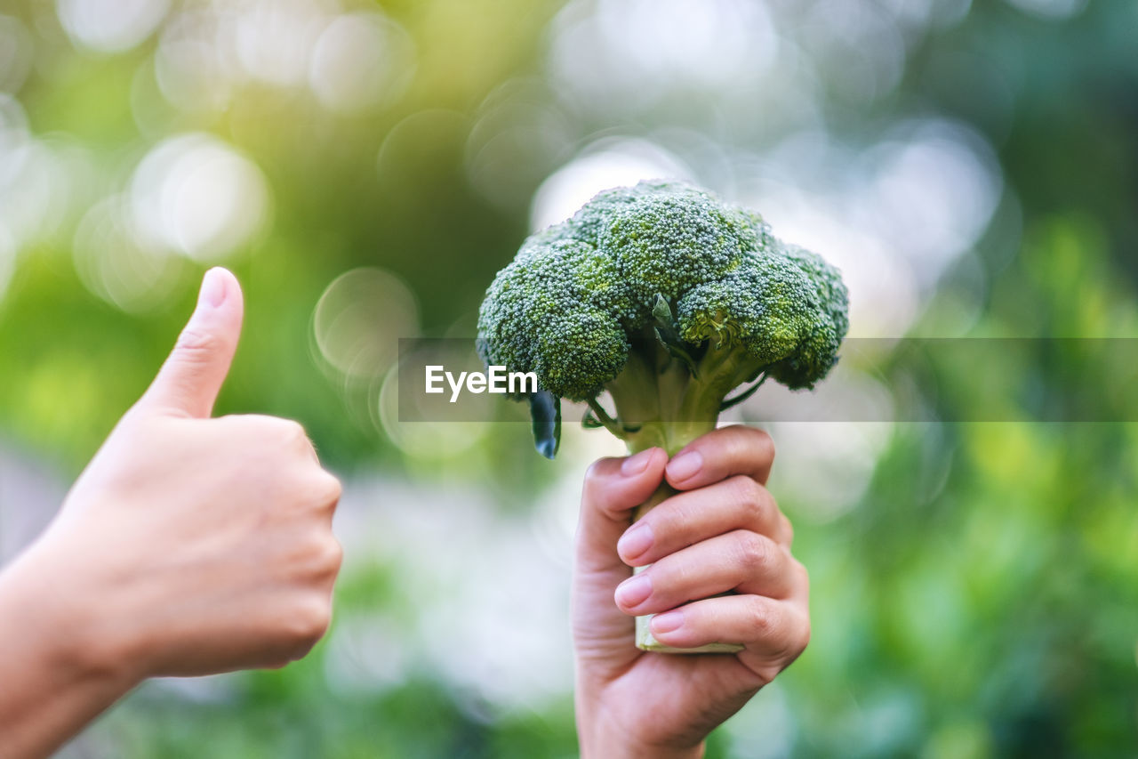 Cropped hand of woman holding broccoli outdoors